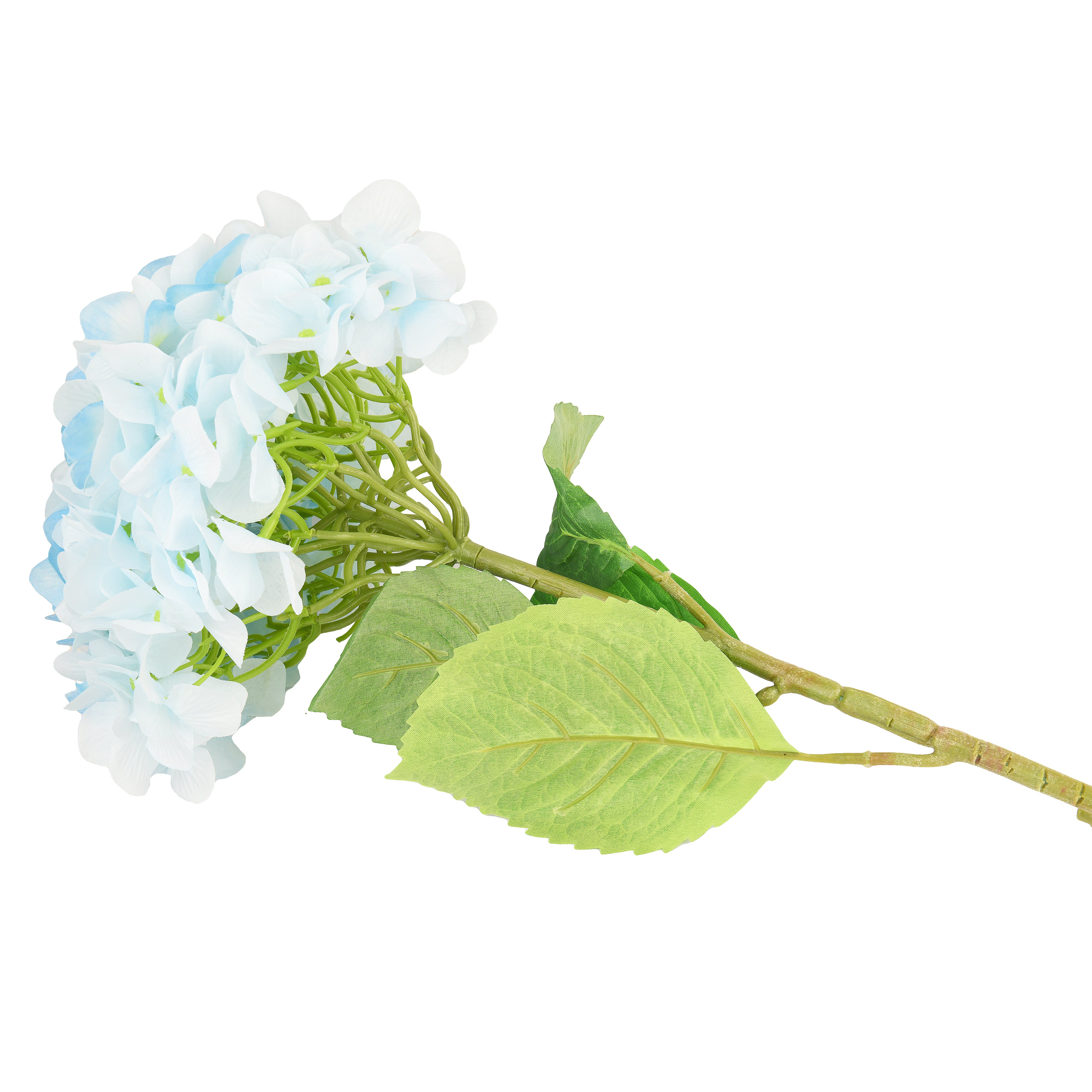 Hydrangea Jumbo Flower