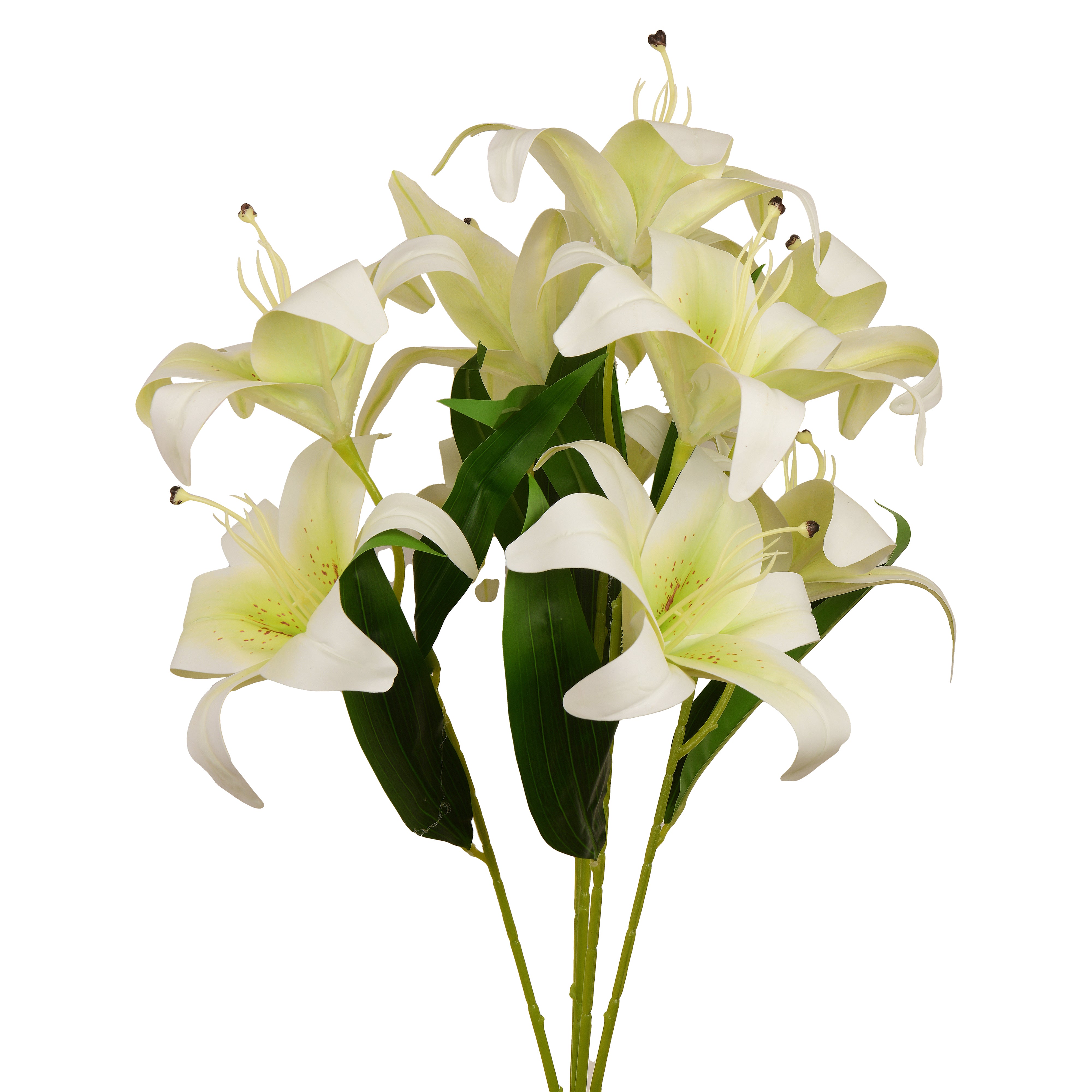 Radiant Yellow Lily Flower: Captivating Beauty in Every Petal