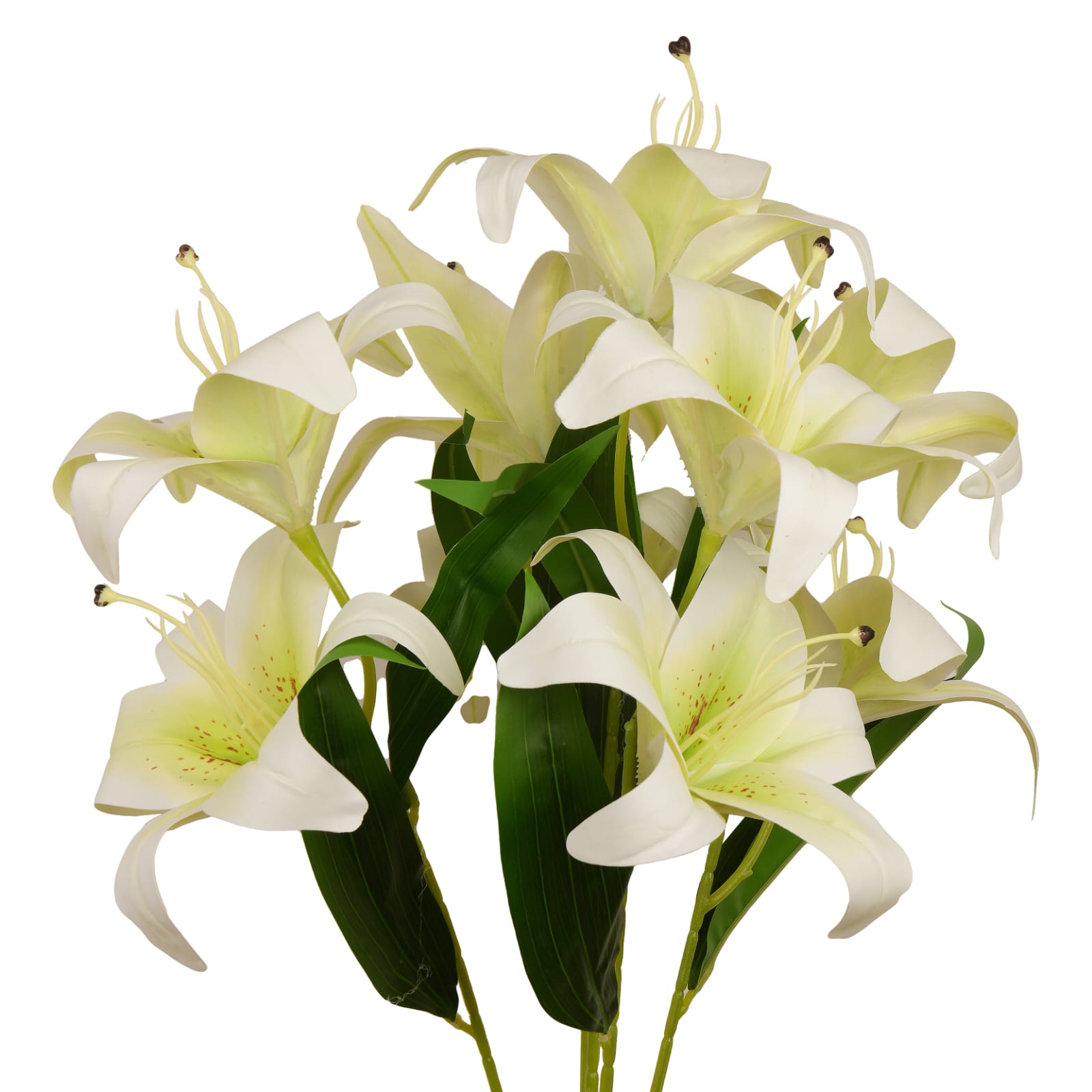 Radiant Yellow Lily Flower: Captivating Beauty in Every Petal