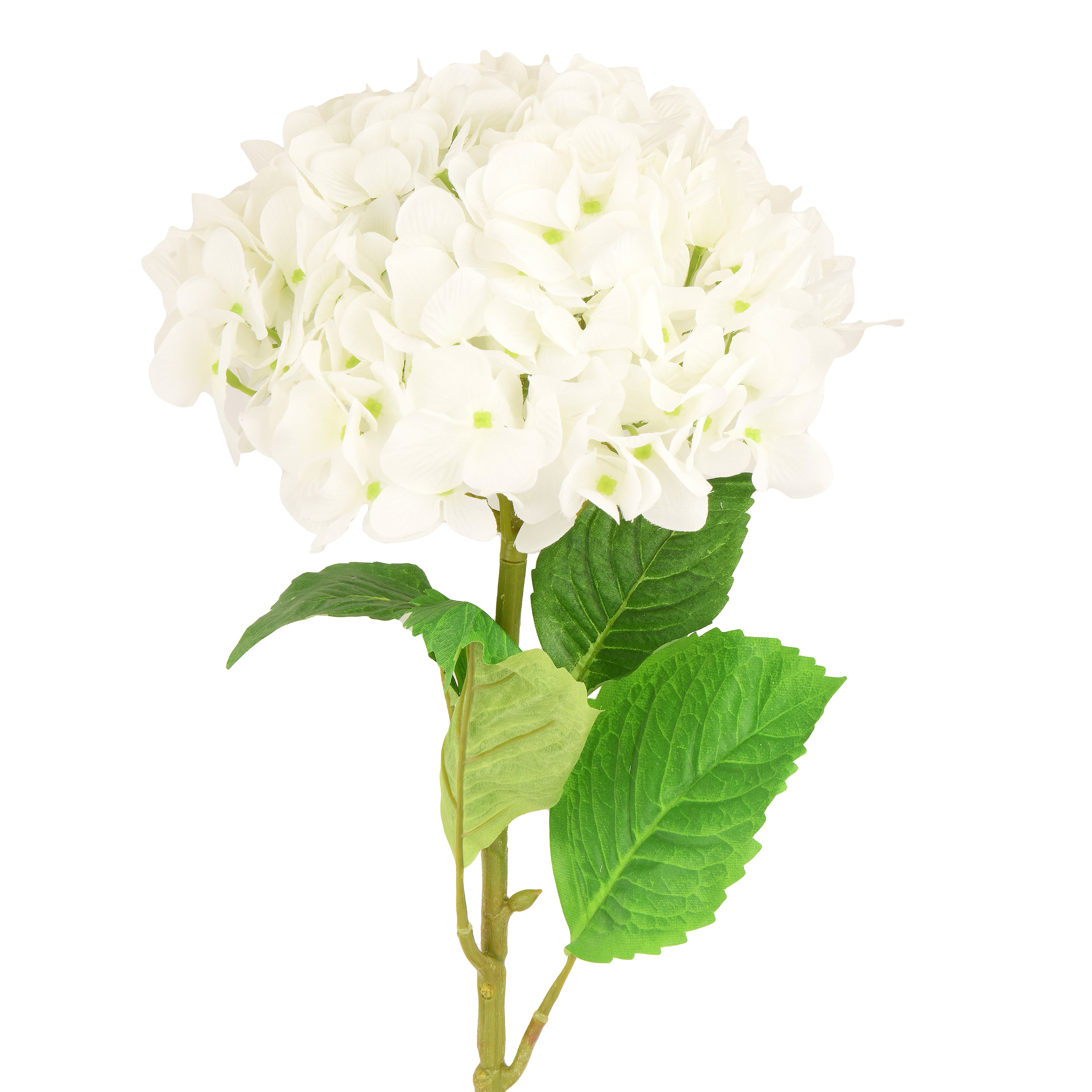 White HYDRANGEA JUMBO FLOWER