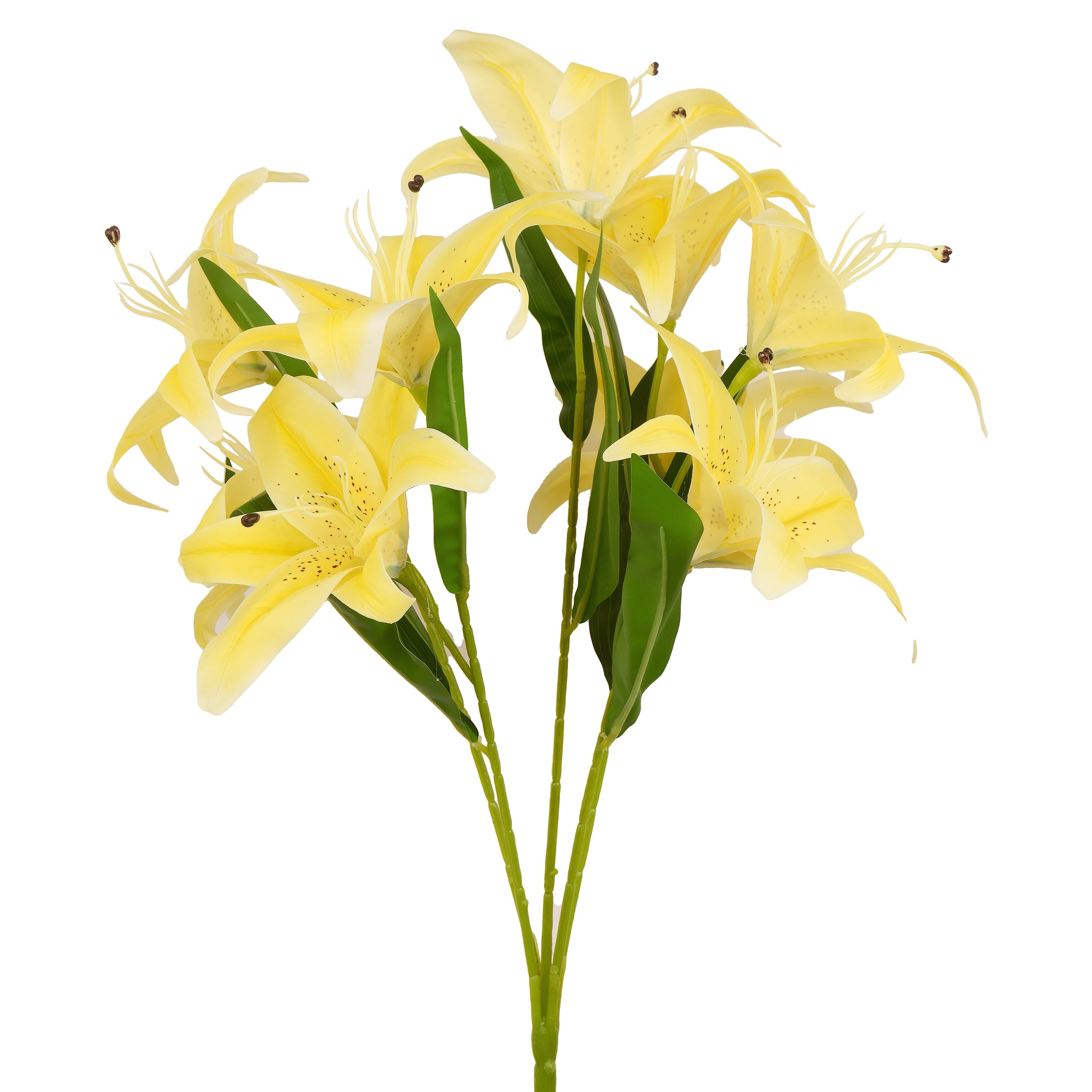 Yellow Lily Flower