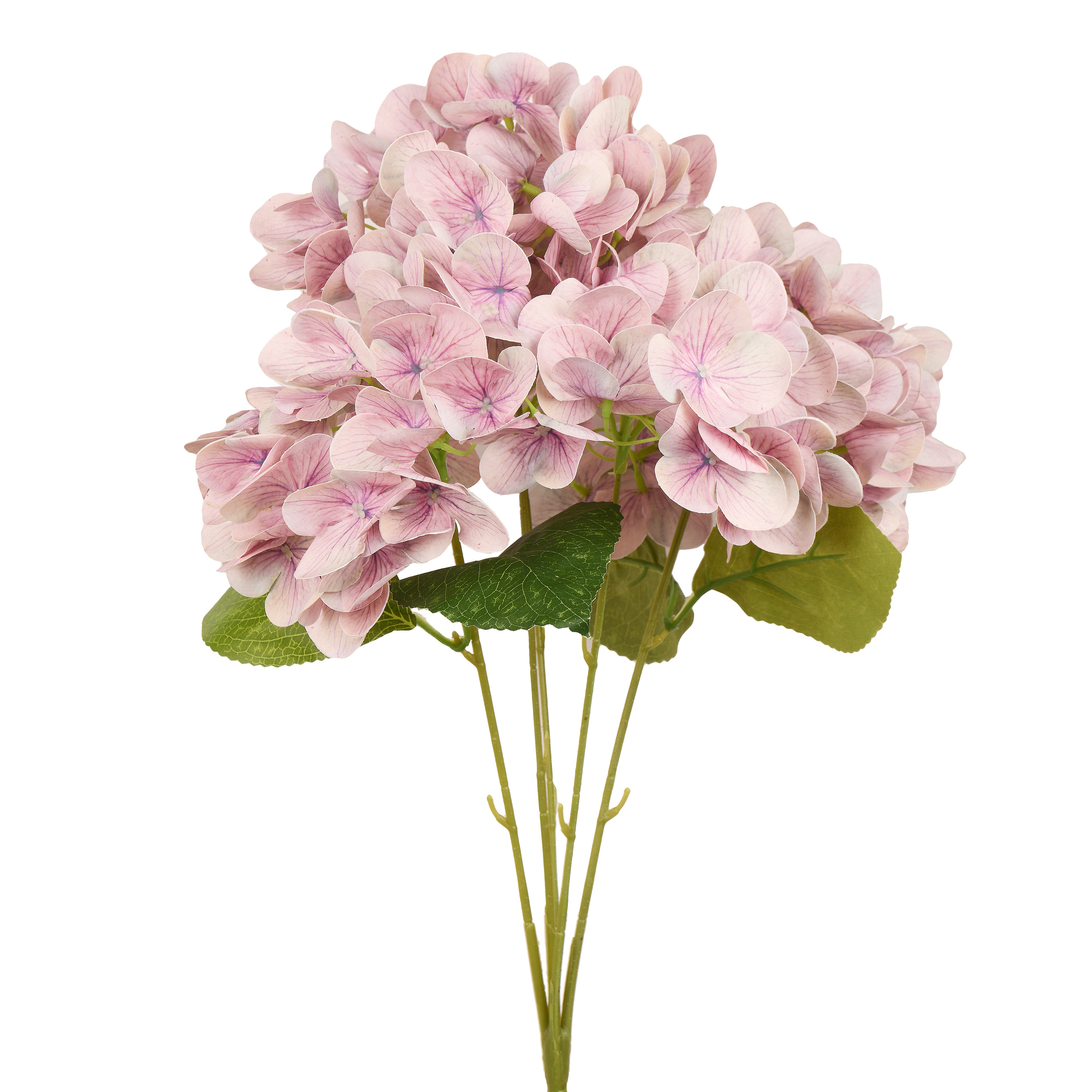 Big Hydrangea Wedding Flowers With Long Stem