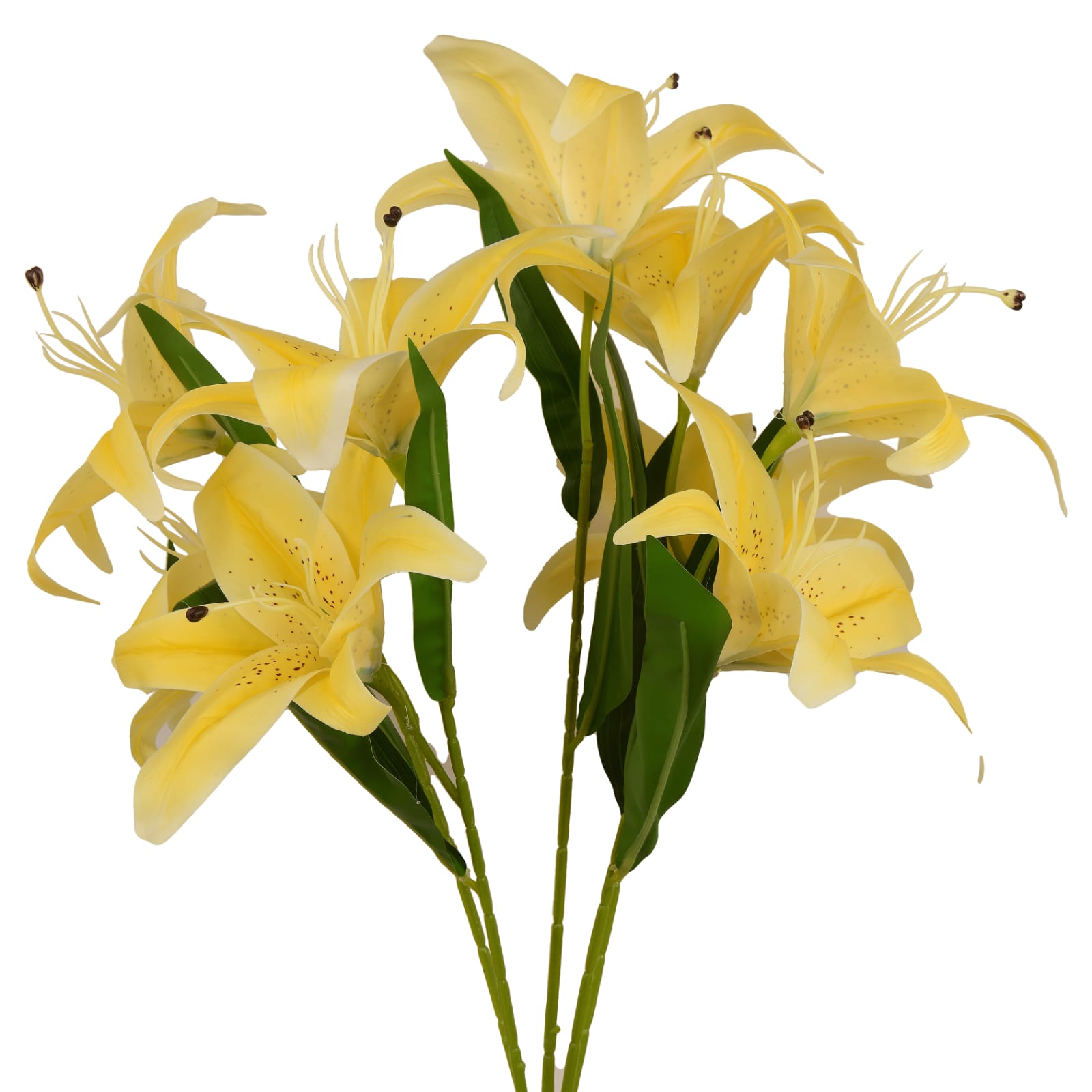 Yellow Lily Flower