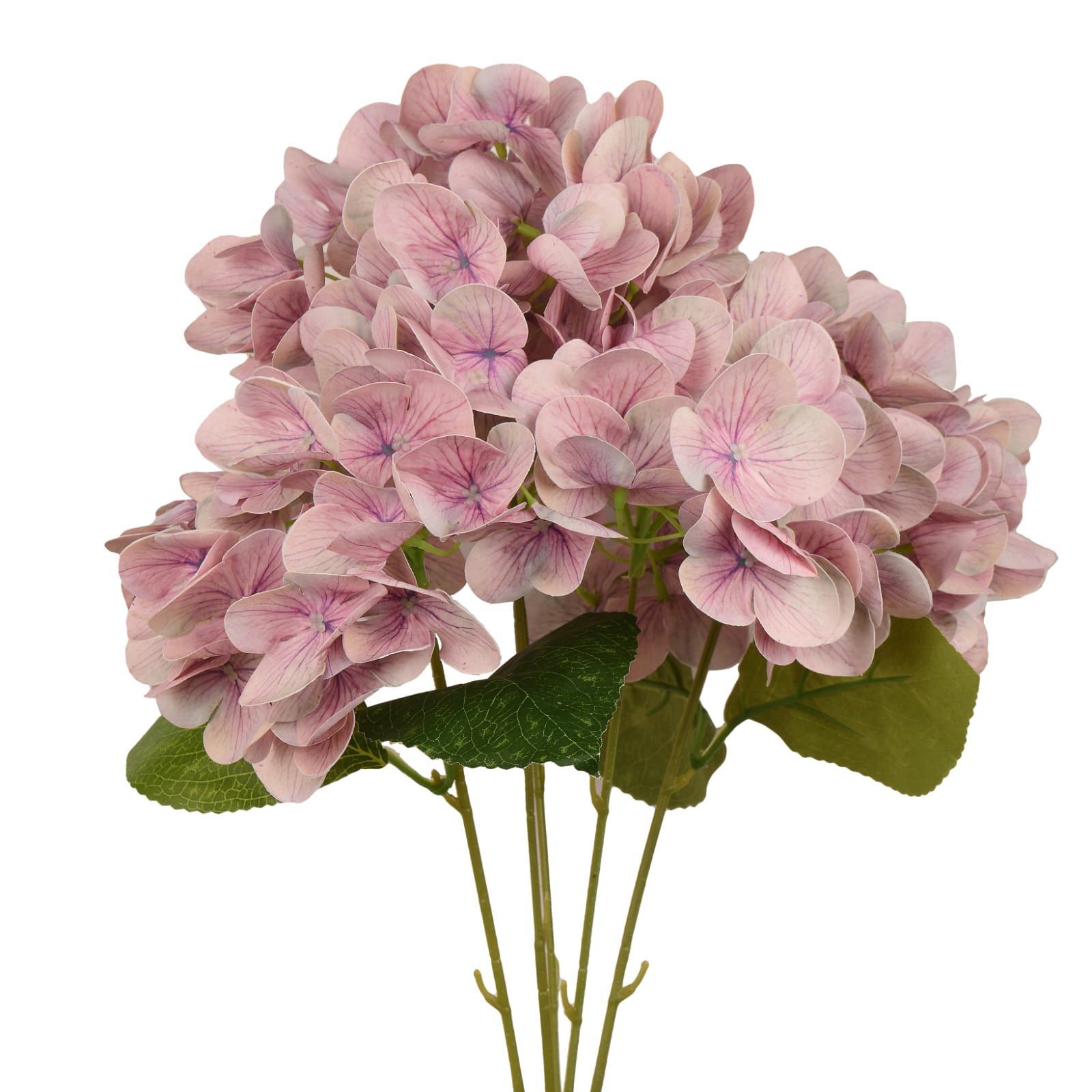 Big Hydrangea Wedding Flowers With Long Stem